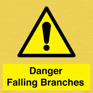 Danger Falling Branches